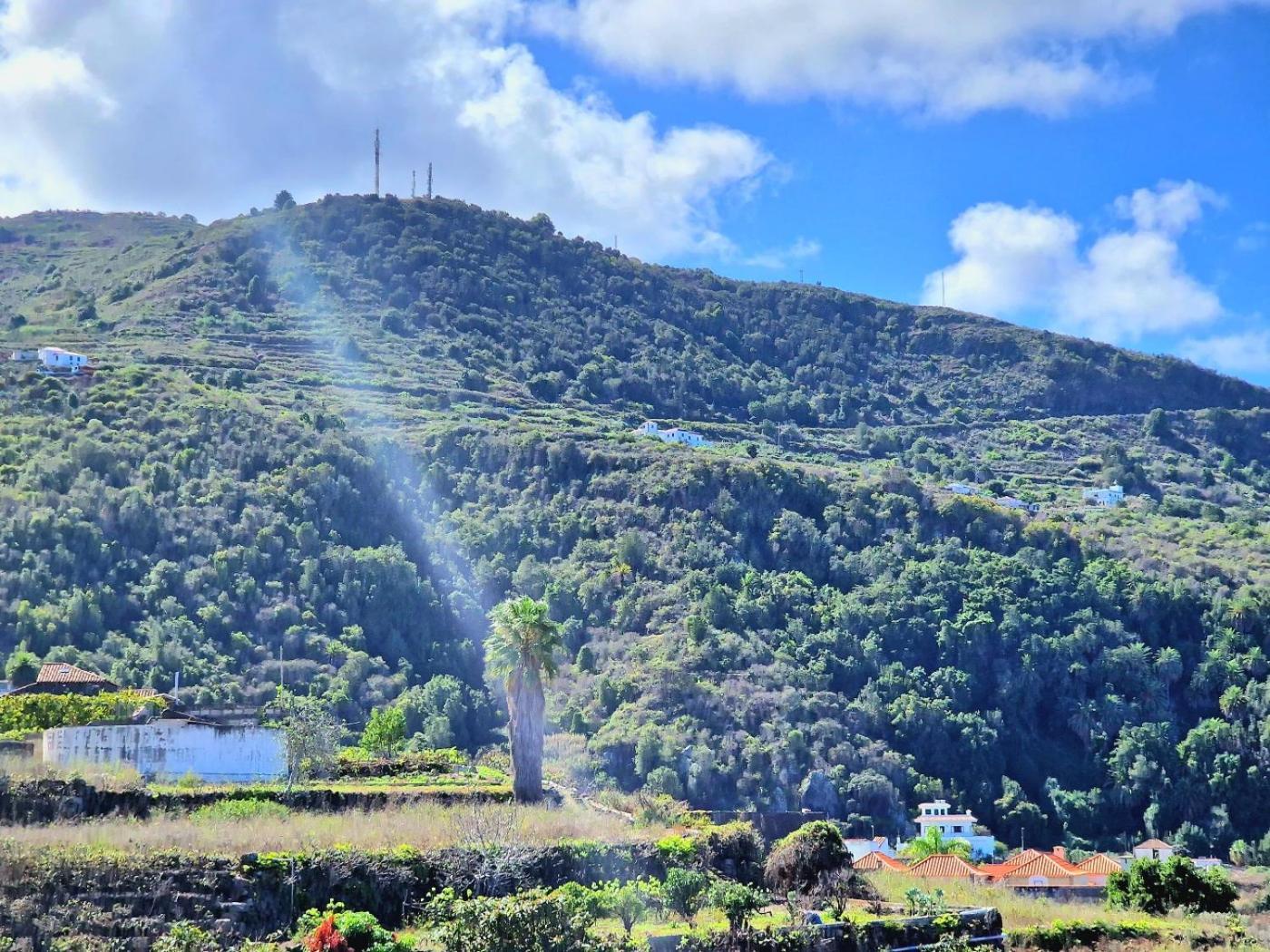 Cozy House Casa De Los Abuelos In Icod De Los Vinos By Hrtenerife Net Exteriör bild