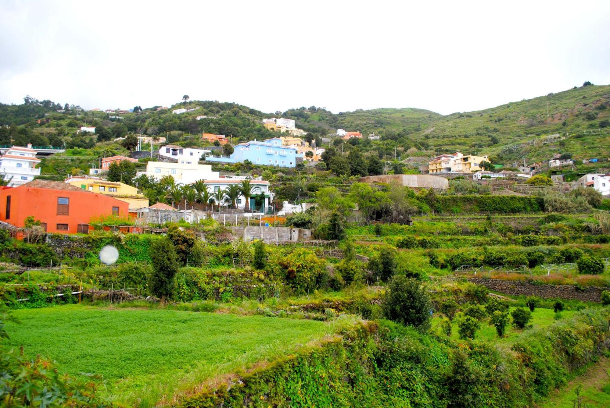 Cozy House Casa De Los Abuelos In Icod De Los Vinos By Hrtenerife Net Exteriör bild